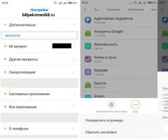 Можно ли играть в Покемон ГО без Интернета?